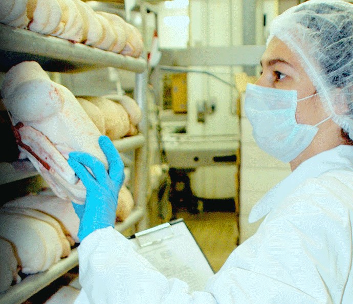 foie gras produttore diretto