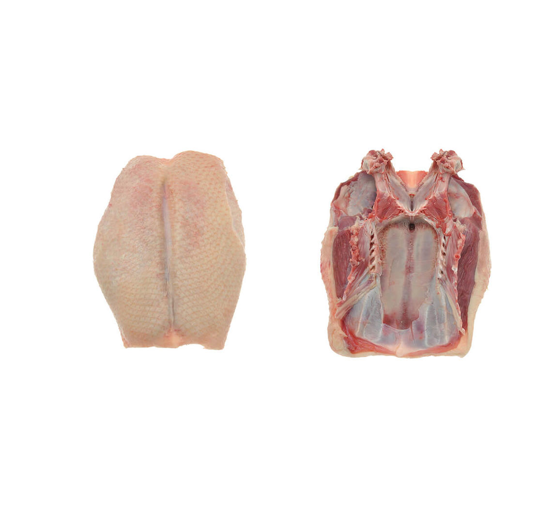 offre canard et canette