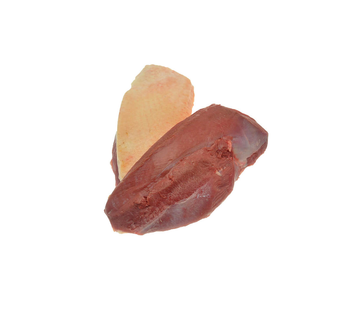 Magret de canard